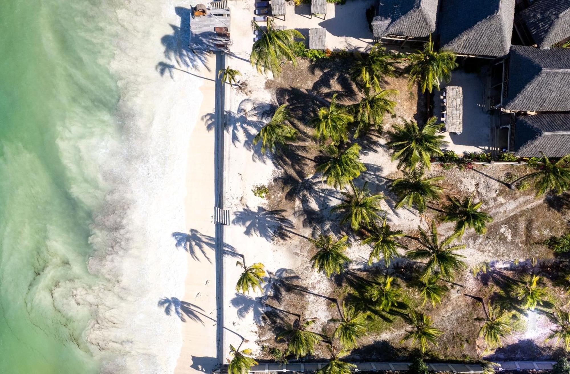 Shanuo Beach Bungalows Michamvi Zewnętrze zdjęcie